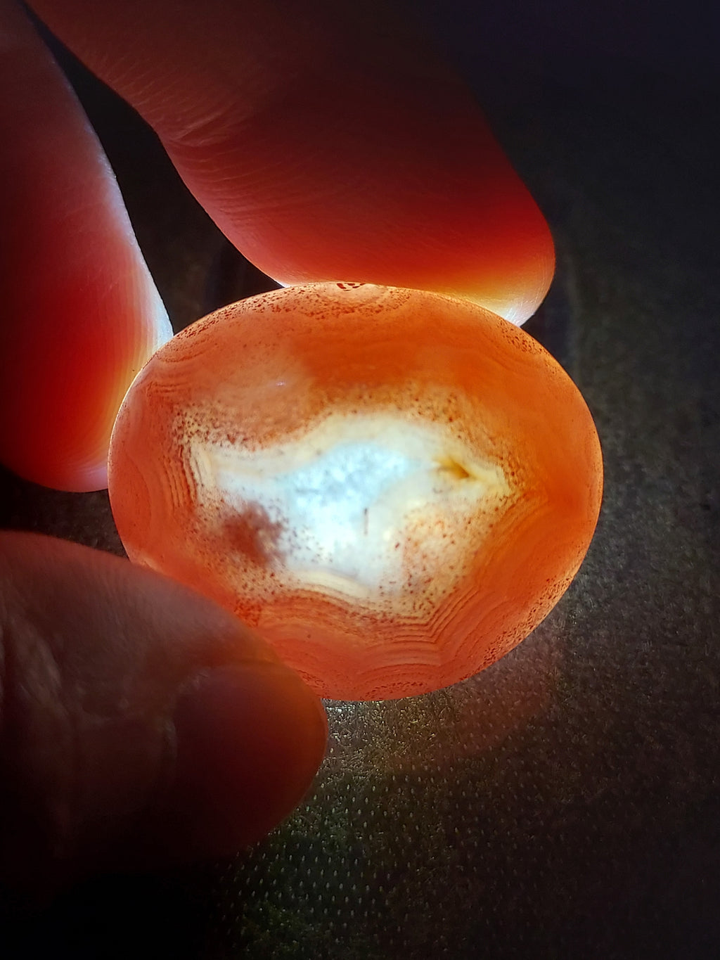 Natural Red Agate Gemstone | Rare Hand-Polished Specimen | Healing Crystal Collector's Piece