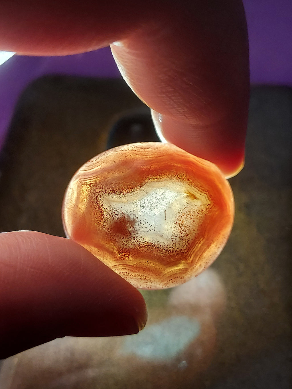 Natural Red Agate Gemstone | Rare Hand-Polished Specimen | Healing Crystal Collector's Piece