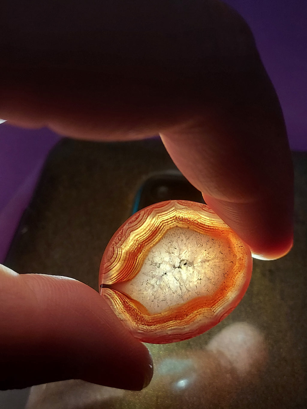 Natural Red Agate Gemstone | Rare Hand-Polished Specimen | Healing Crystal Collector's Piece