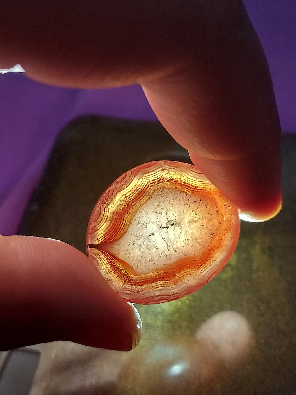 Natural Red Agate Gemstone | Rare Hand-Polished Specimen | Healing Crystal Collector's Piece