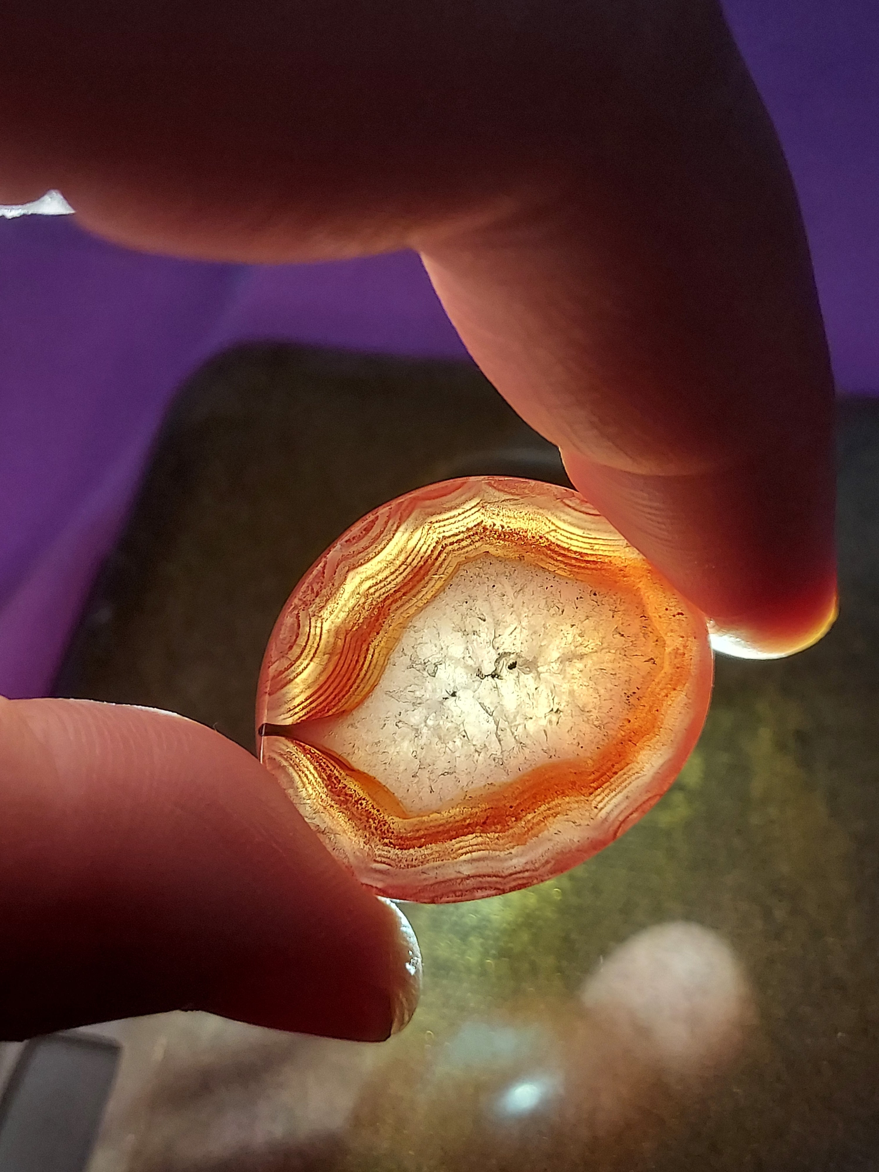 Natural Red Agate Gemstone | Rare Hand-Polished Specimen | Healing Crystal Collector's Piece