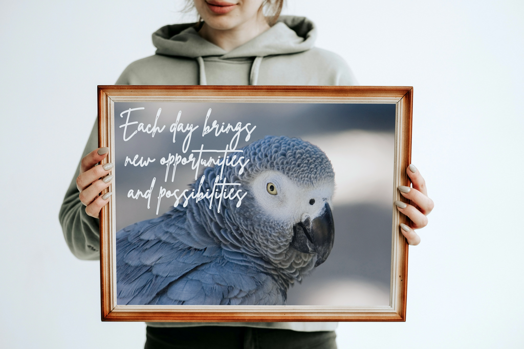 30 Positive Affirmation Parrot Portraits - Digital Wall Art Bundle for Home Decor & Print on Demand
