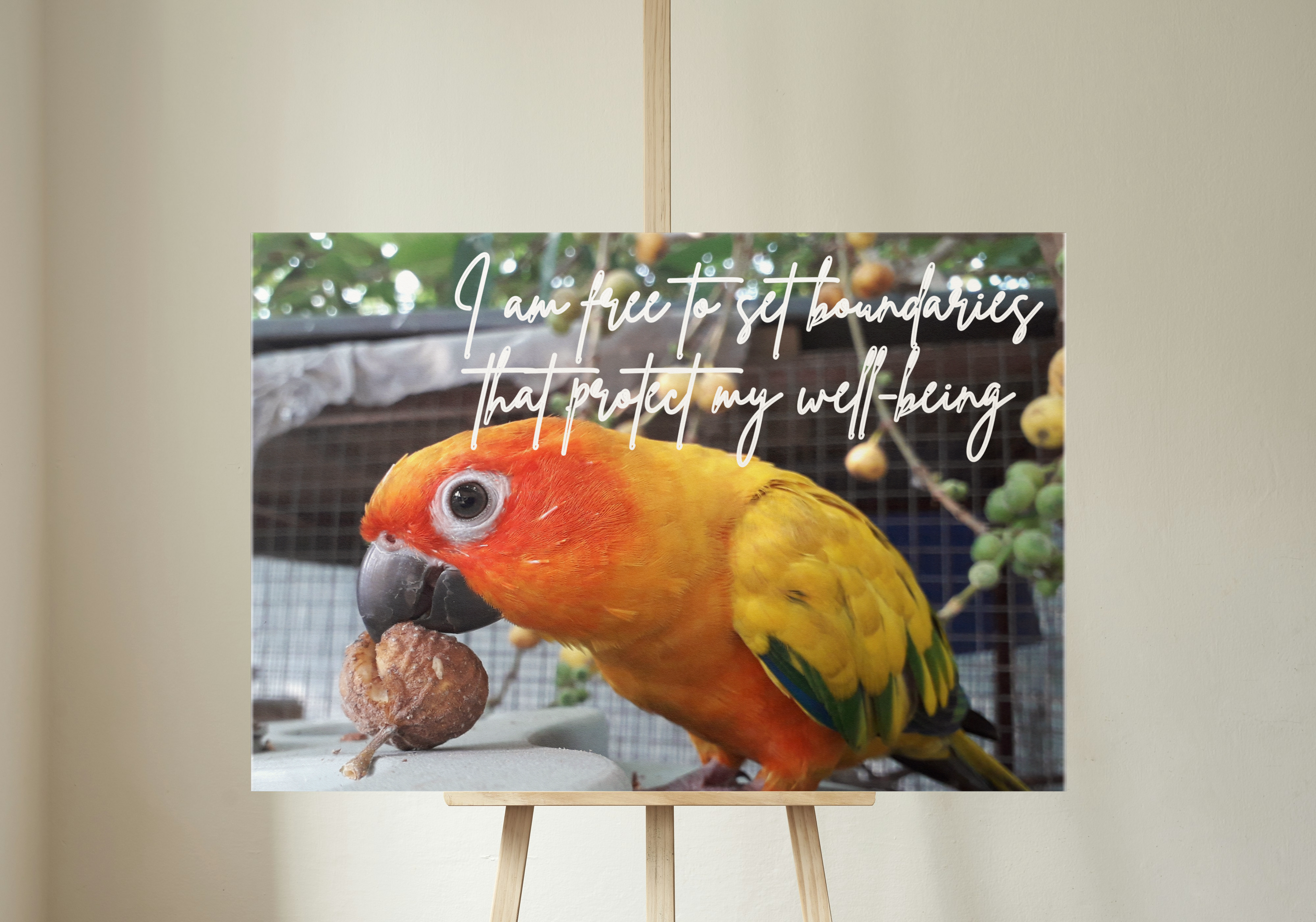 30 Positive Affirmation Parrot Portraits - Digital Wall Art Bundle for Home Decor & Print on Demand