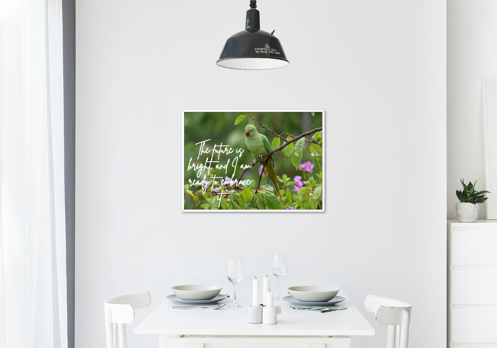 30 Positive Affirmation Parrot Portraits - Digital Wall Art Bundle for Home Decor & Print on Demand