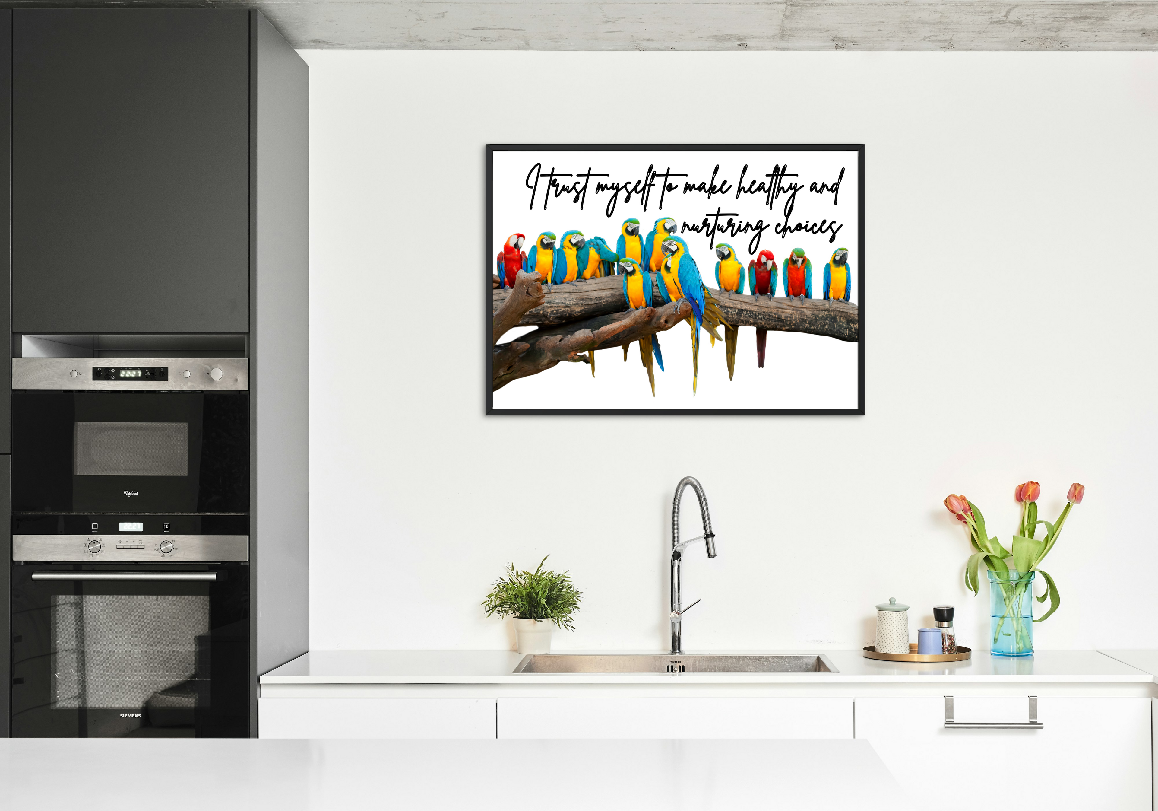 30 Positive Affirmation Parrot Portraits - Digital Wall Art Bundle for Home Decor & Print on Demand
