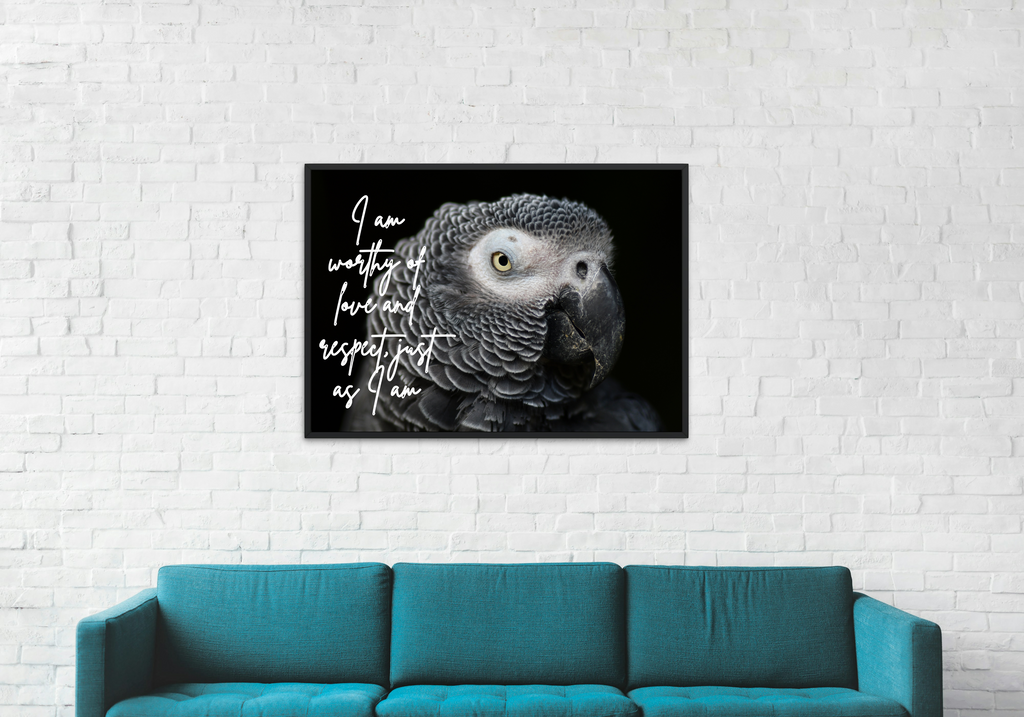 30 Positive Affirmation Parrot Portraits - Digital Wall Art Bundle for Home Decor & Print on Demand