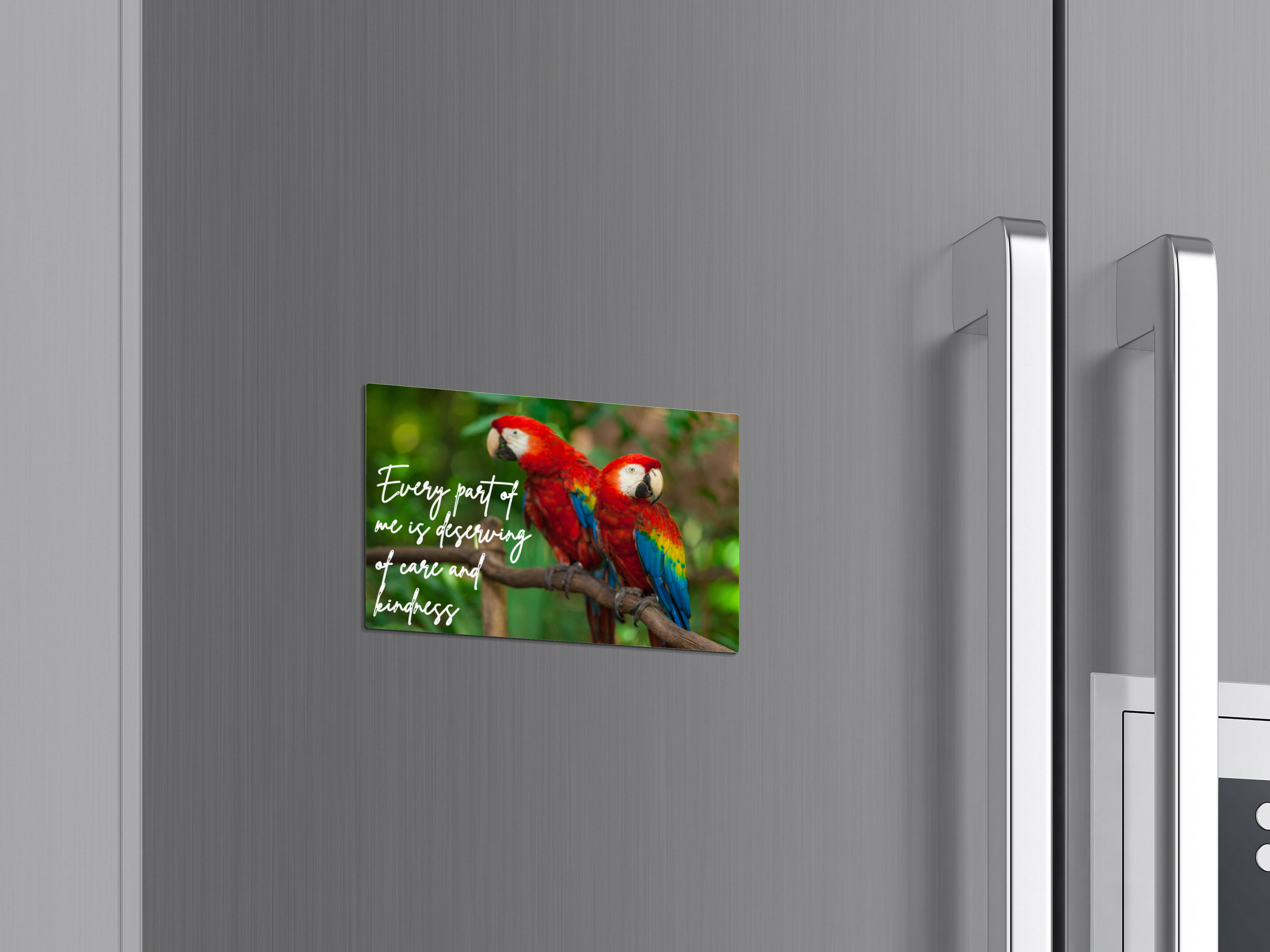 30 Positive Affirmation Parrot Portraits - Digital Wall Art Bundle for Home Decor & Print on Demand