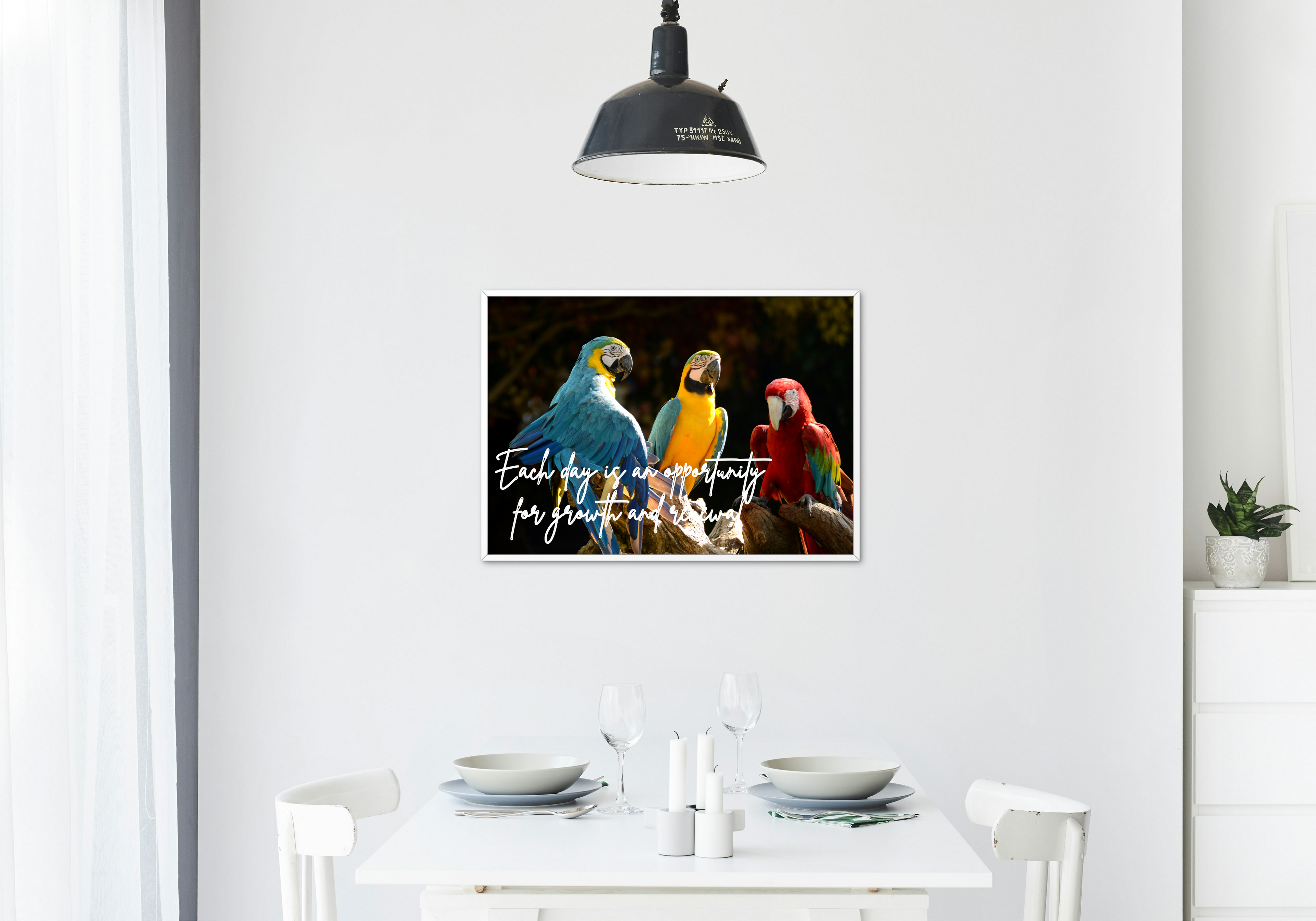 30 Positive Affirmation Parrot Portraits - Digital Wall Art Bundle for Home Decor & Print on Demand