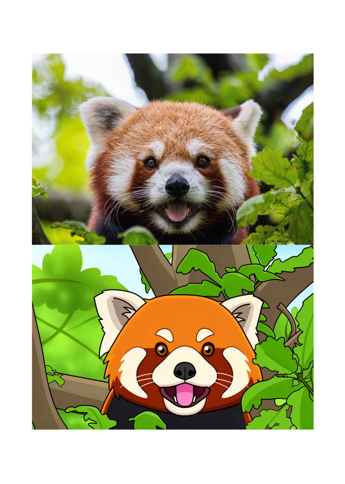 19 Animal Photos with Cartoonified Pictures Bundle - 5 Sizes for Kids Room, Home Decor & Print on Demand