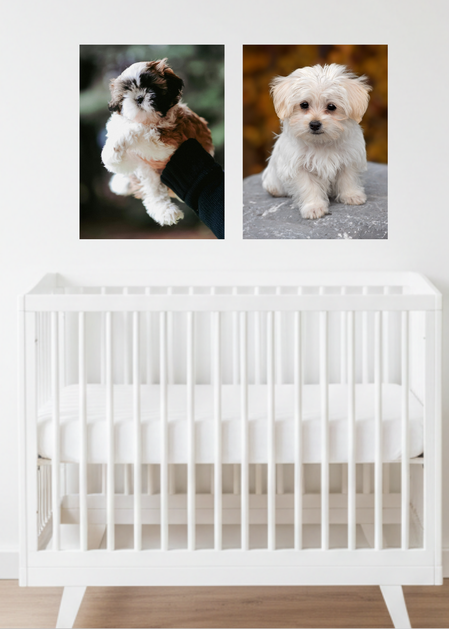 19 Cute Dogs Portraits Wall Art - 2 Sizes - Kids Room & Nursery Decor - Print on Demand - Instant Download