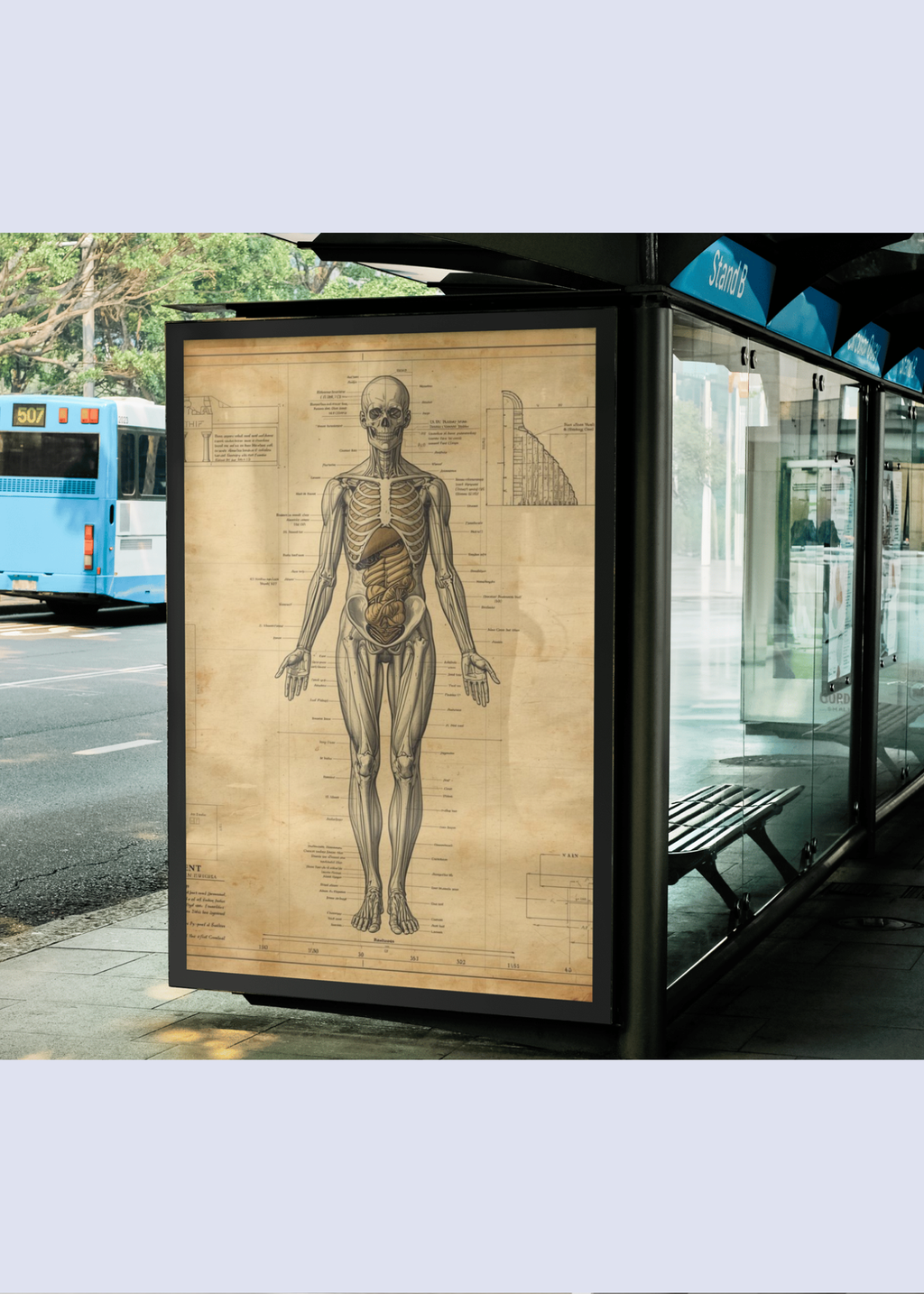 18 Human Anatomy Blueprint Wall Art - Medical Decor & Print on Demand - Instant Download