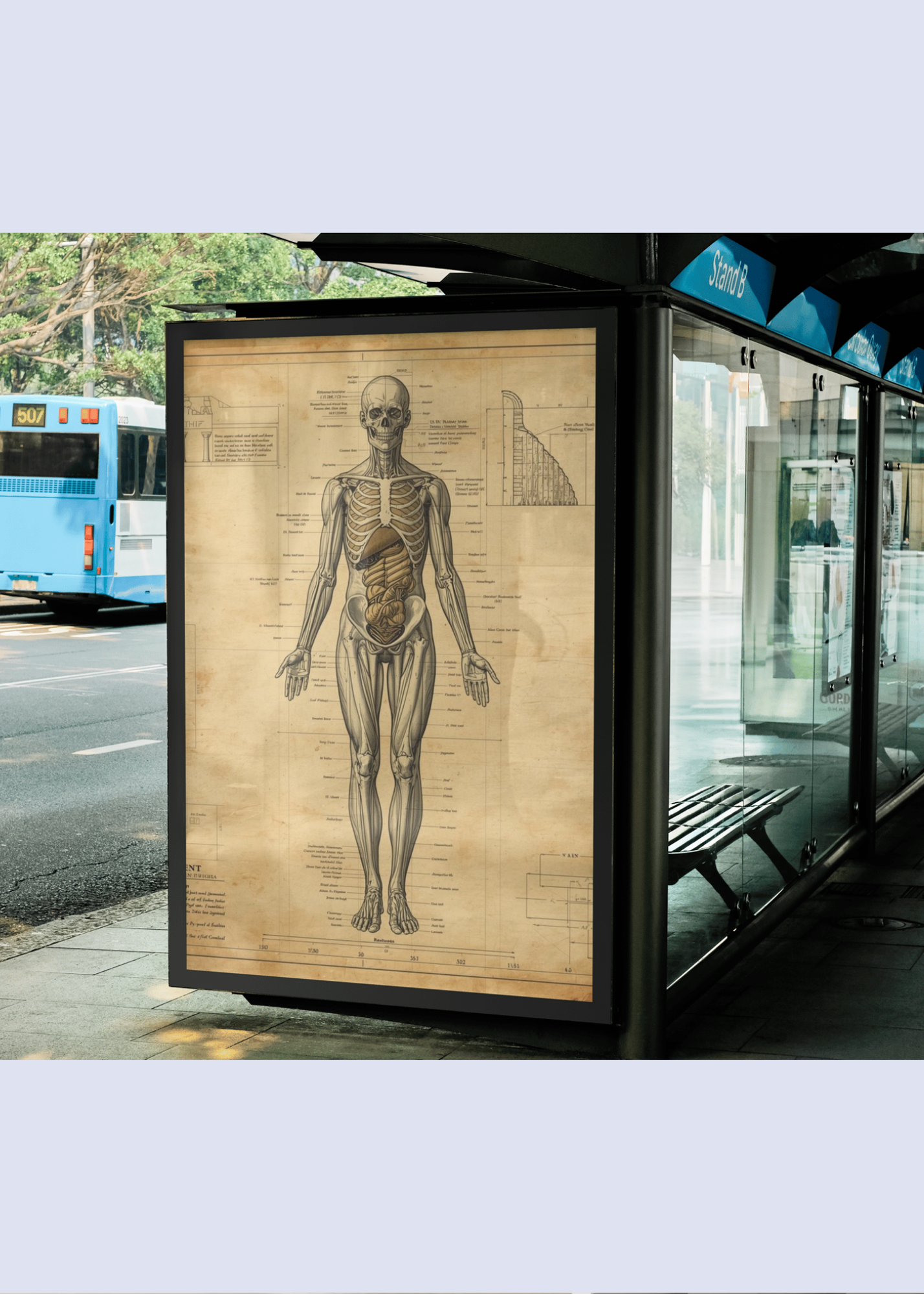 18 Human Anatomy Blueprint Wall Art - Medical Decor & Print on Demand - Instant Download