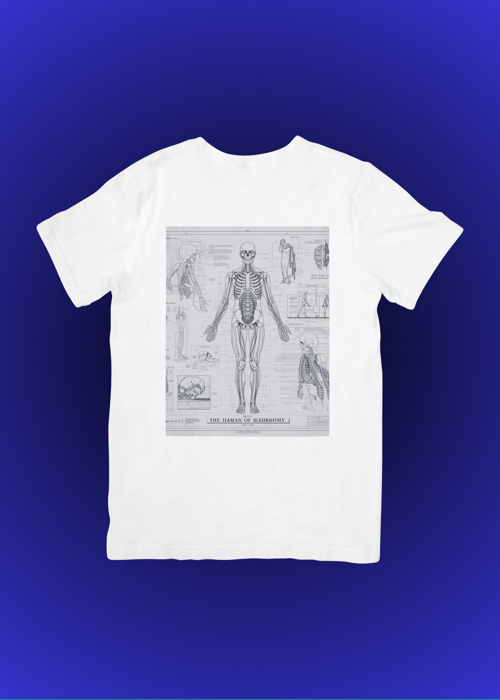 18 Human Anatomy Blueprint Wall Art - Medical Decor & Print on Demand - Instant Download