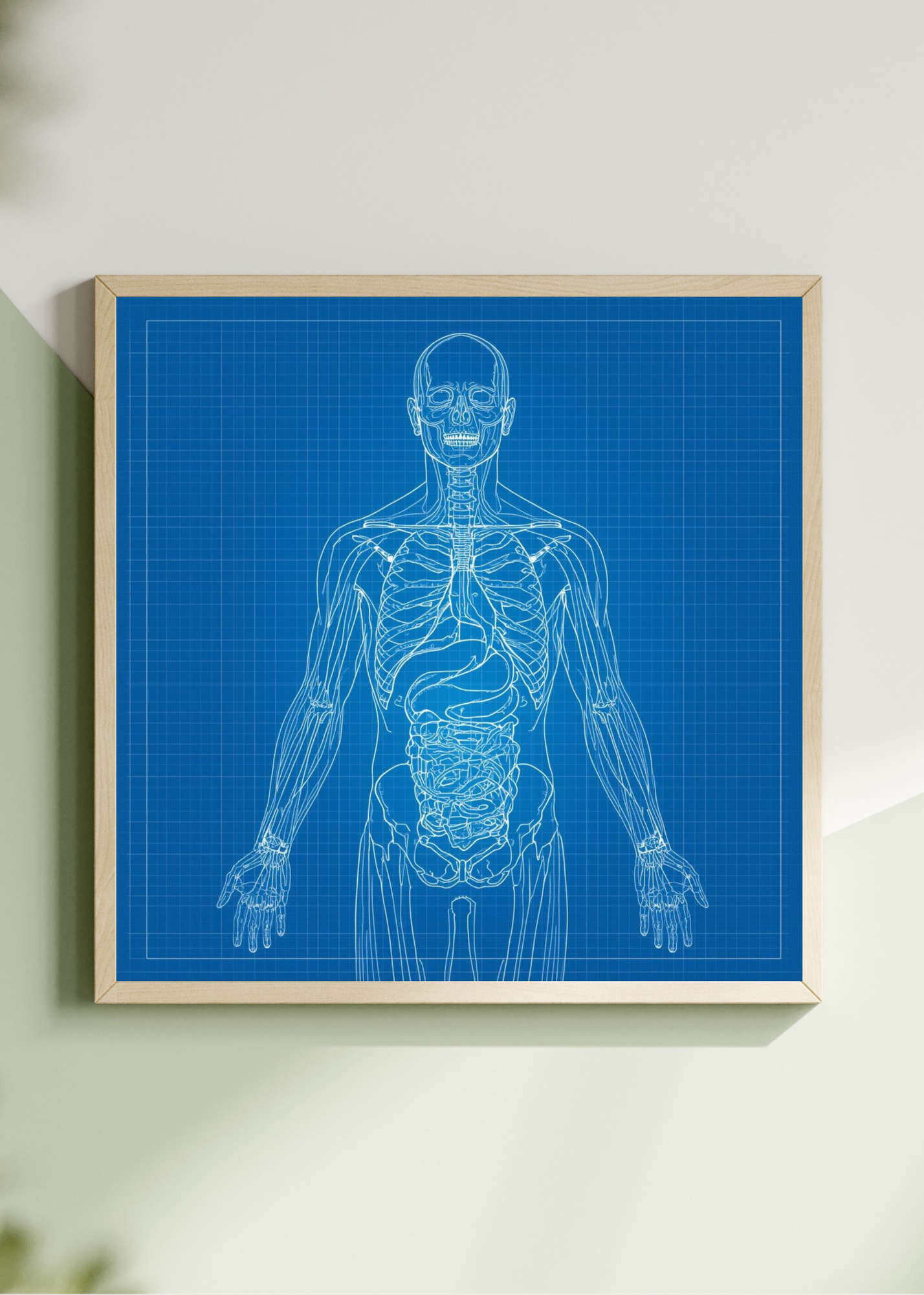 18 Human Anatomy Blueprint Wall Art - Medical Decor & Print on Demand - Instant Download